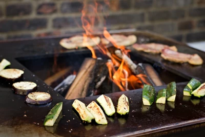 Vulacnus Grill Pro730 Masterchef | Biopejs-shop.dk Vulcanus Grill Pro730 Masterchef